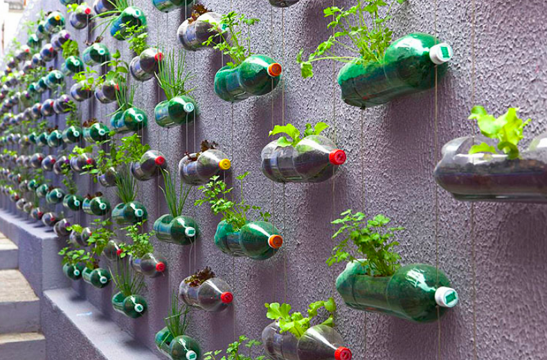 Plastic soda bottle planters