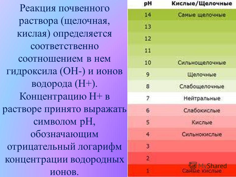 Какой уровень ph у bios k