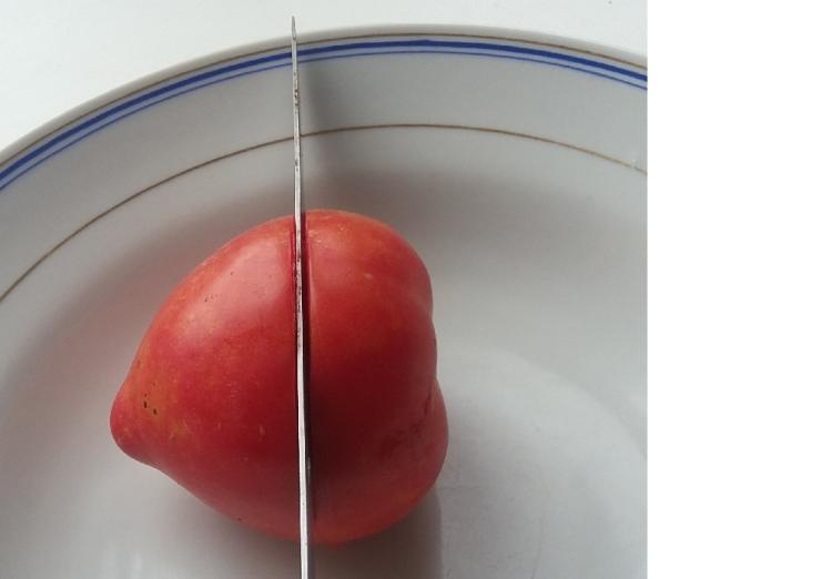как правильно собрать семена помидоров