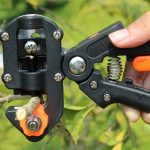 Выбор инструментов для обрезки плодовых деревьев: советы начинающим