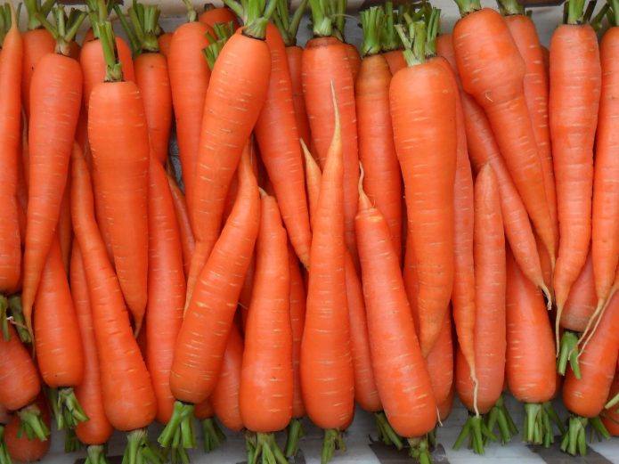 Морковь «Лакомка»