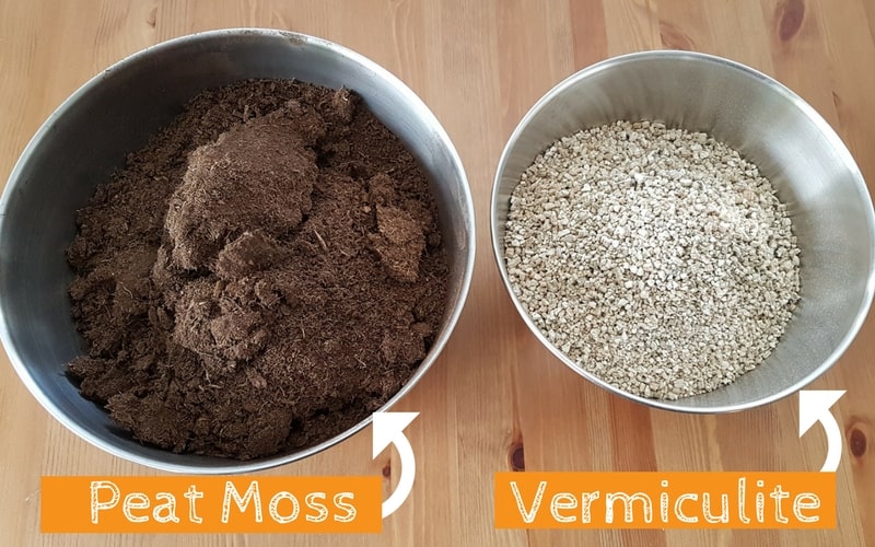 peat-moss-and-vermiculite-for-growing-mushrooms