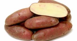 Fingerling potato