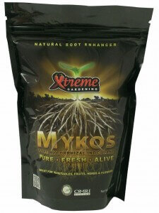 mycorrhizae powder