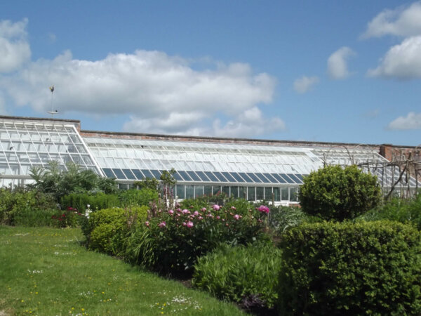 A large greenhouse is in the background with bushes surrounding it.