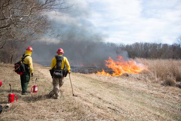 photo of 2 burners igniting a controlled burn