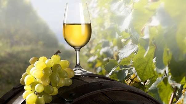 Сорт «Ананасный» является пригодным в качестве сырья для изготовления ординарного вина