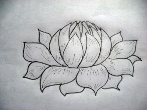 Цветок лотоса рисунок. Как нарисовать лотос