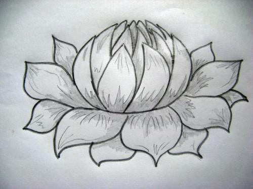 Цветок лотоса рисунок. Как нарисовать лотос