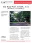 Ten Easy Ways to Kill a Tree
