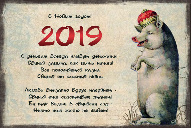 Открытки на Новый год Свиньи 2019 коллегам.