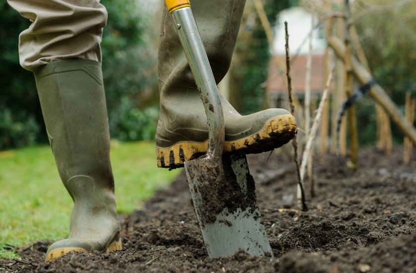 Перекопка и подготовка грядки под посадку