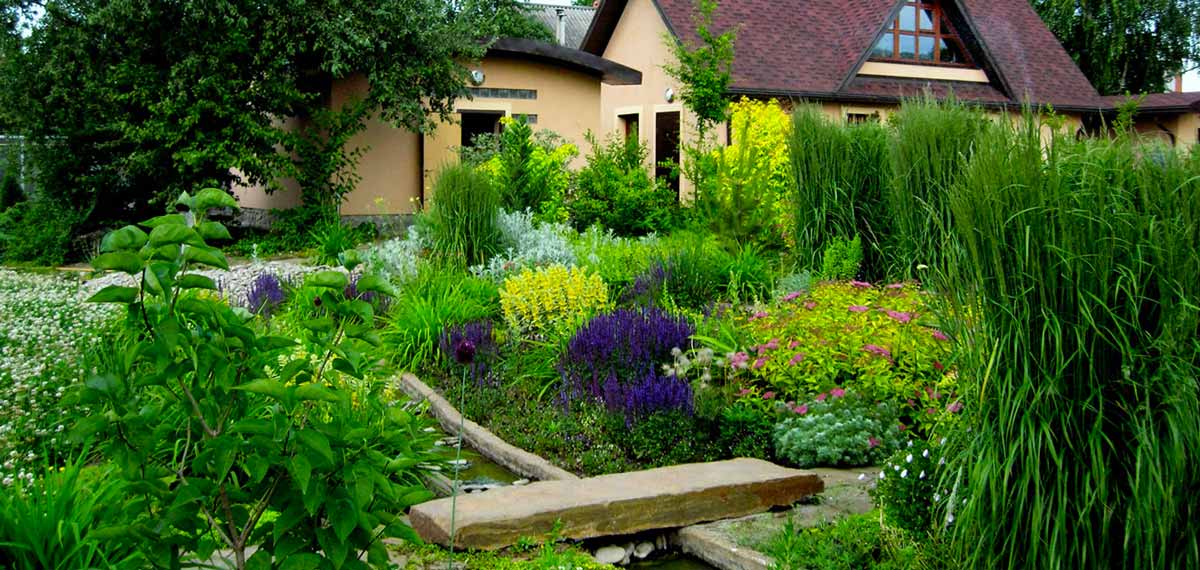 20 видов растений для сада в природном стиле