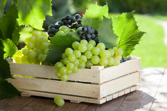 Деревянный ящик с гроздьями зеленого и фиолетового винограда столовых сортов