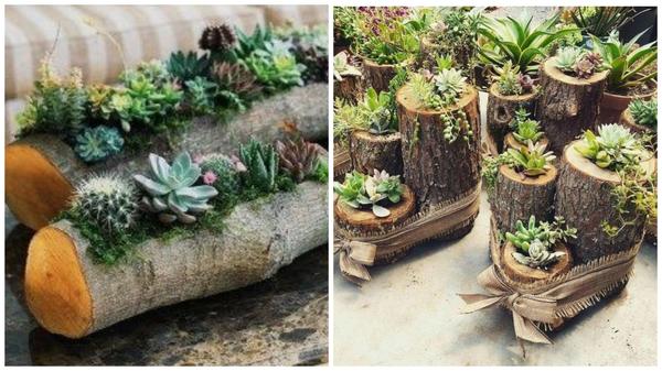 Цветочные горшки