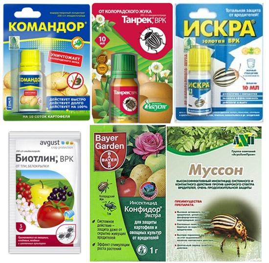 Системные инсектициды. Фото с сайта u-mama.ru, автор не указан