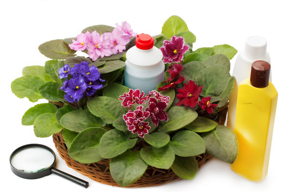 В сложных случаях на помощь придут промышленные средства