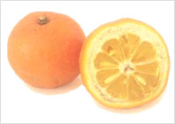 Севильский апельсин