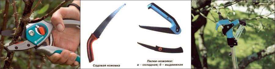 Инструменты для обрезки деревьев