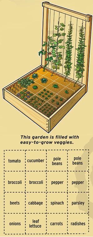 vegetable garden plans with pallets