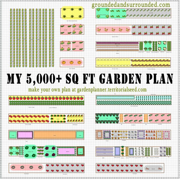 multi vegetable garden plans