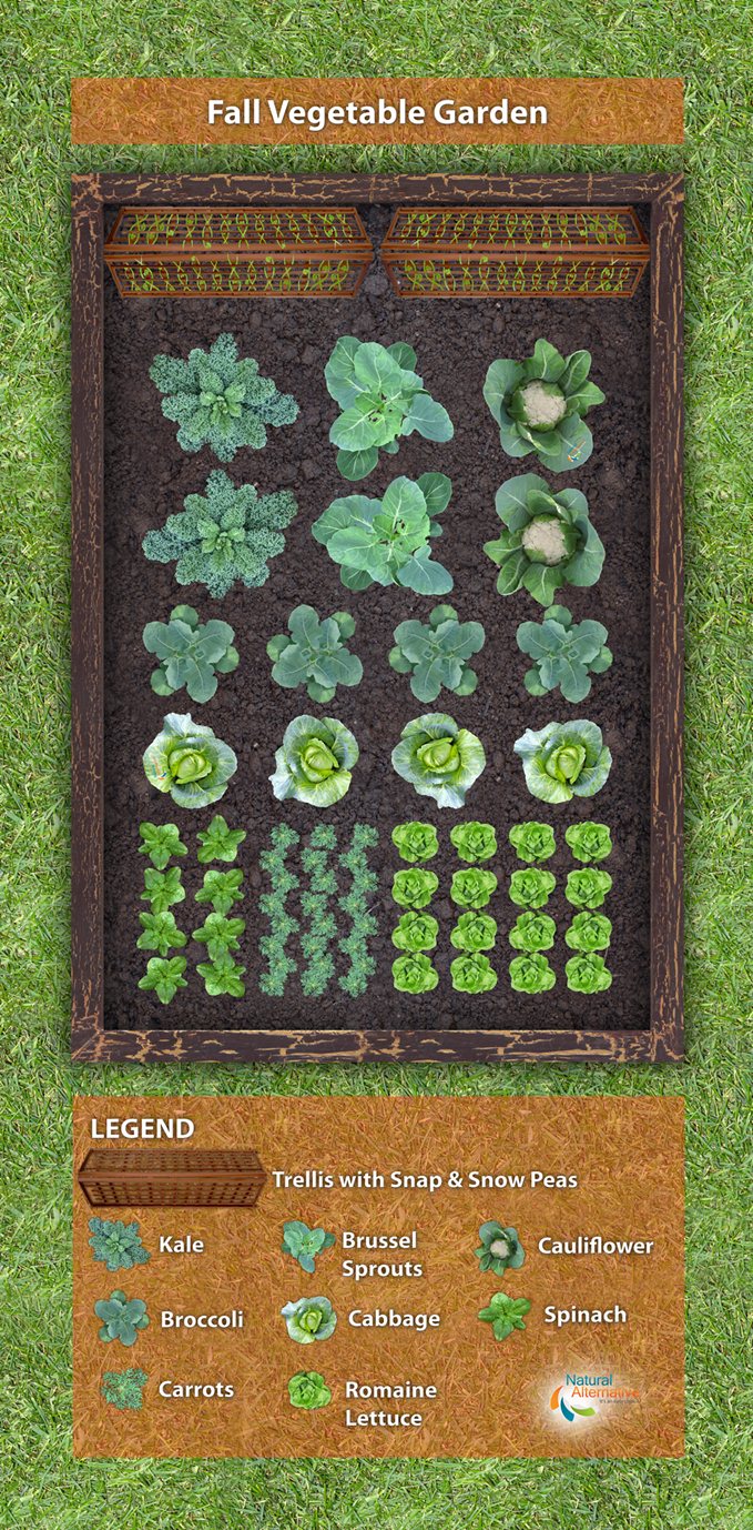 multi vegetable garden plans