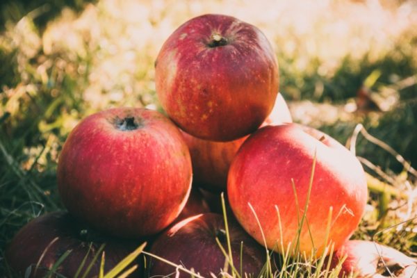 A stack of red apple varieties sitting on the ground