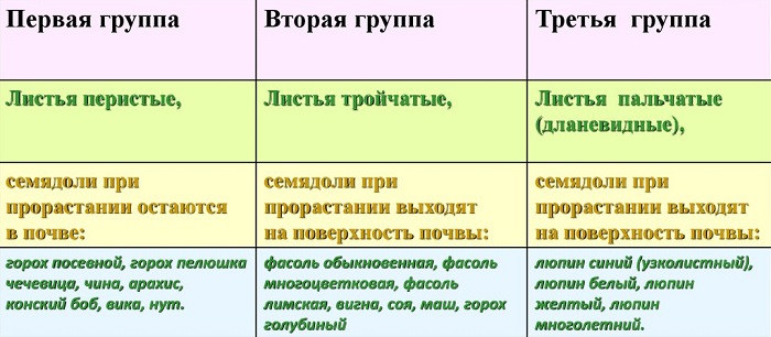 Листья зернобобовых культур