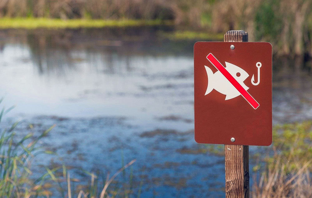 В водоеме запрещено ловить рыбу, табличка