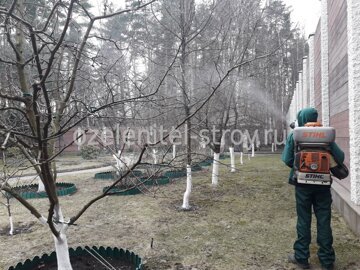 Опрыскивание плодовых деревьев осенью