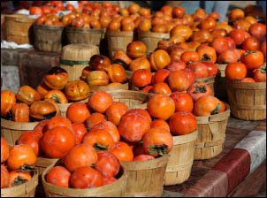 selling persimmons
