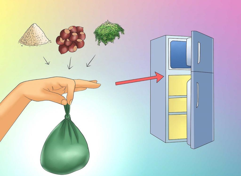 Как подготовить орехи каштана к посадке