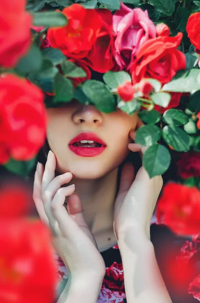 Queen rose, rose, many roses shrub roses, elegant roses, red roses, flower of love, queen of flowers, girl, young girl, beautiful girl, brunette, model, Ukrainian, luscious lips, hands, may, garden, nature, woman, teenager, wallpaper, pink for a girl Stock Image
