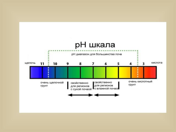 Какой уровень ph у bios k