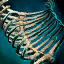 Primordial Leviathan Rib Cage- Right Curved.png