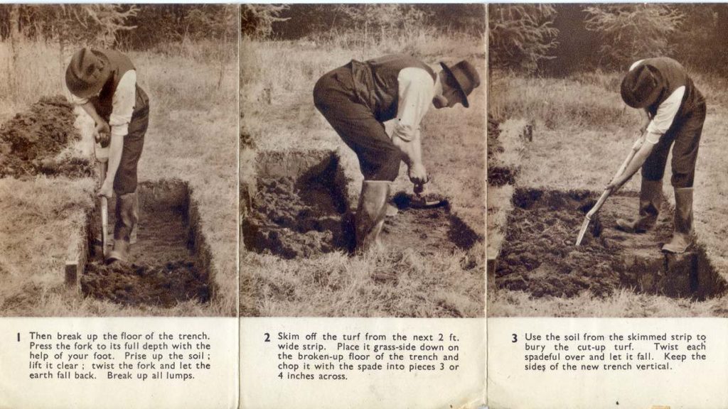 How To Dig