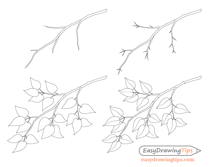 Branch with leafs step by step drawing