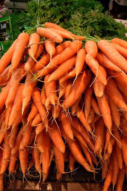 морковь, подзимние посевы овощей