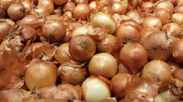 onions from farm