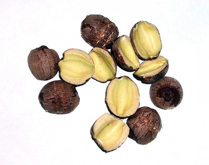 Орехи лотоса