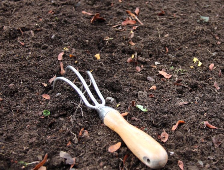 Грядка для чеснока - подготовка почвы