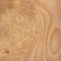 Olive Ash (burl)